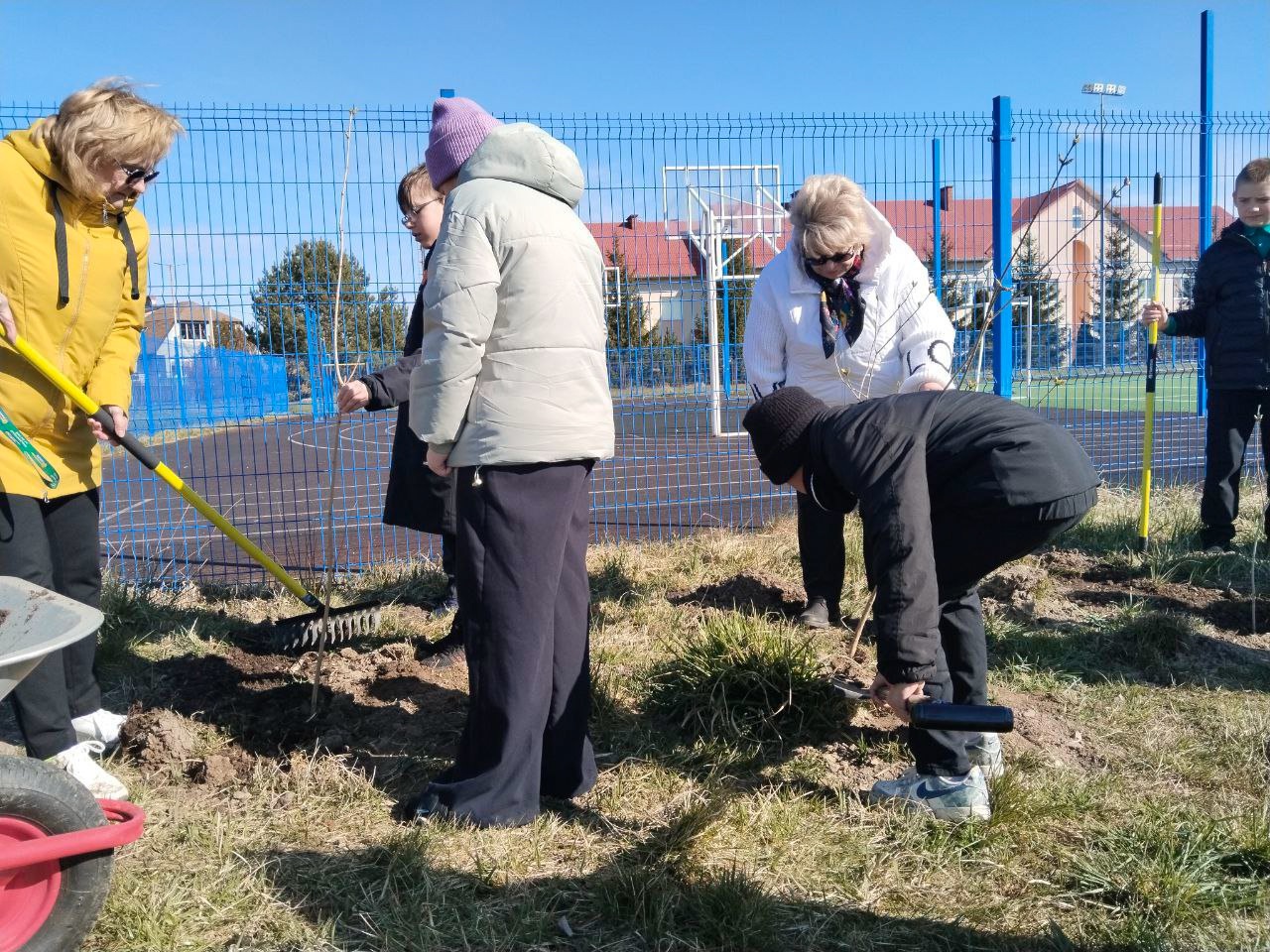Акция &amp;quot;Сирень Победы&amp;quot; в школе п.Мельниково: школьники посадили 10 кустов сирени.