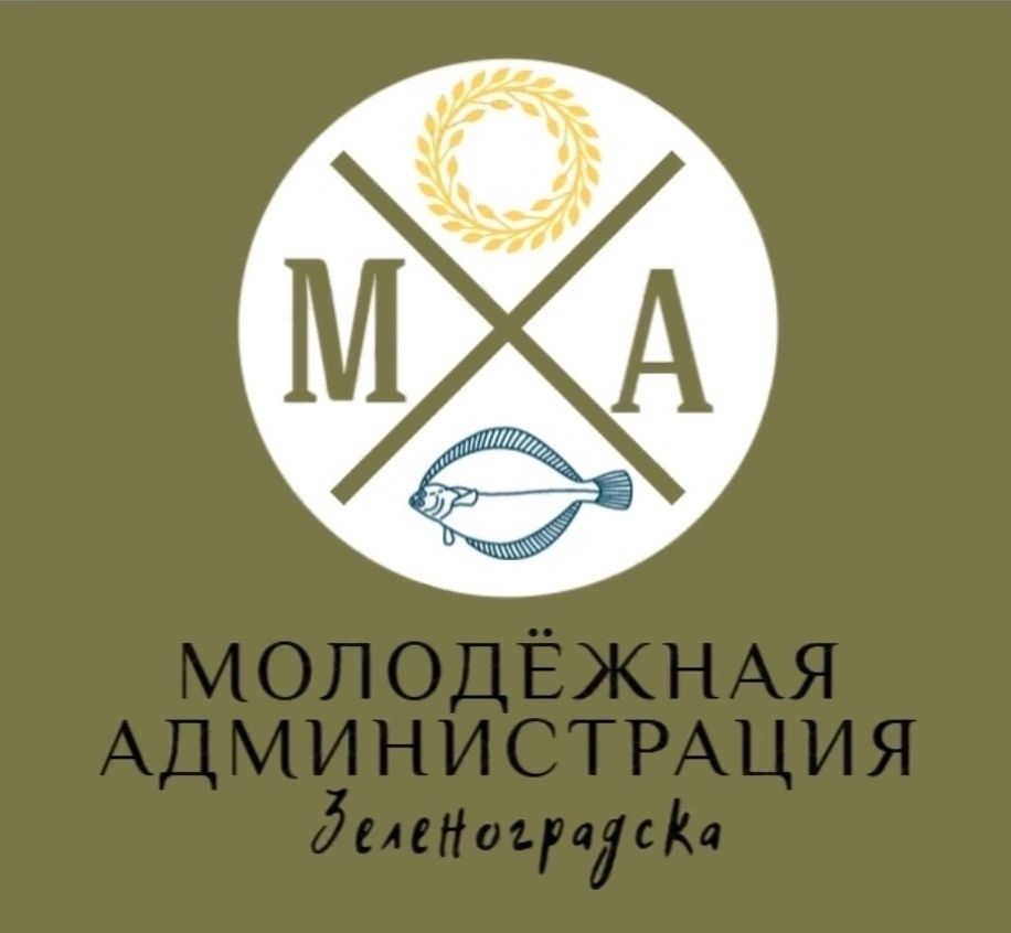 НАБОР В СОСТАВ МОЛОДЕЖНОЙ АДМИНИСТРАЦИИ ЗЕЛЕНОГРАДСКОГО МО.