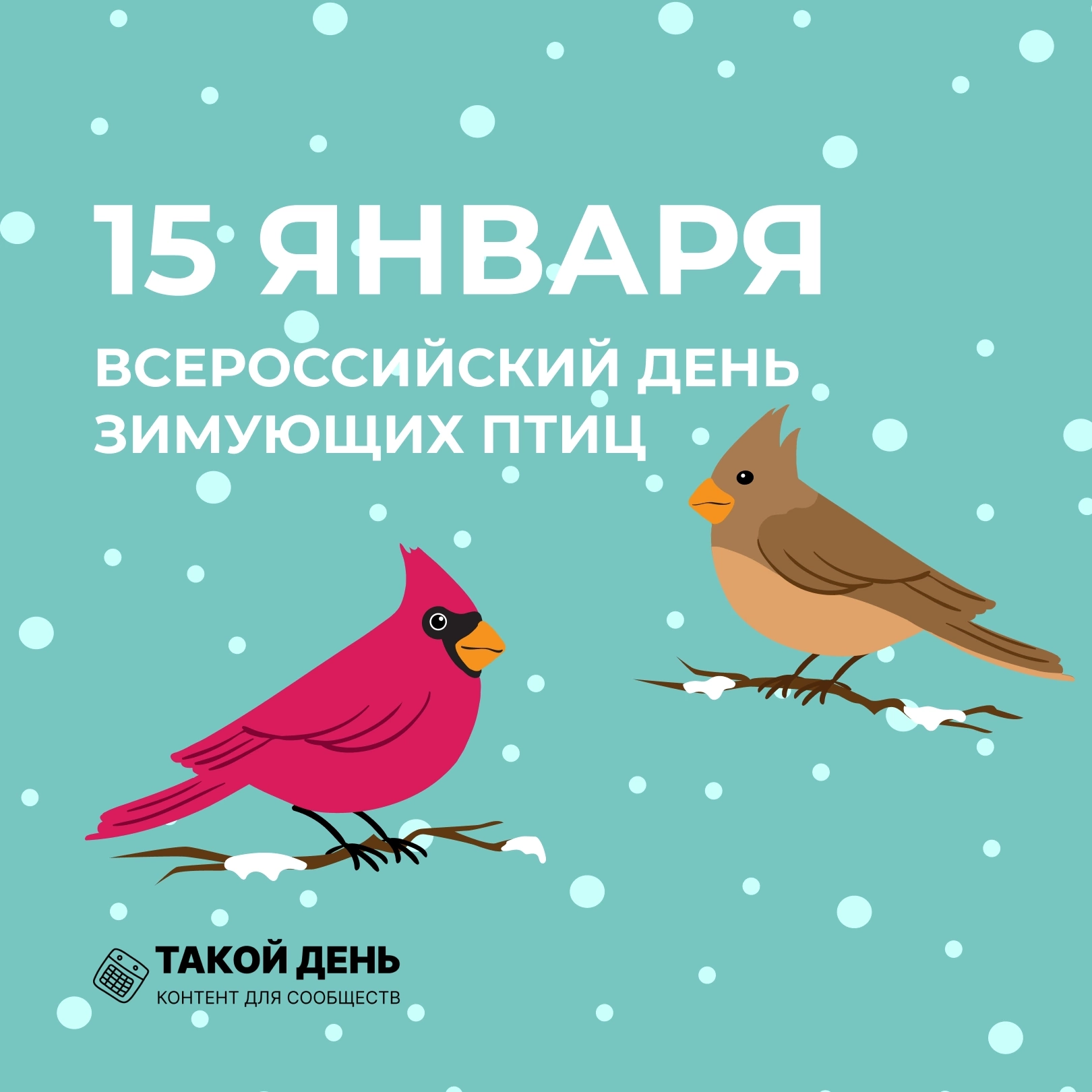 Покормите птиц зимой!.